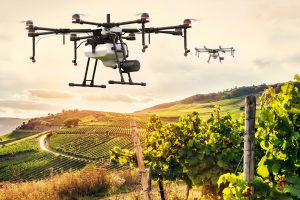 drohnen-weinbau